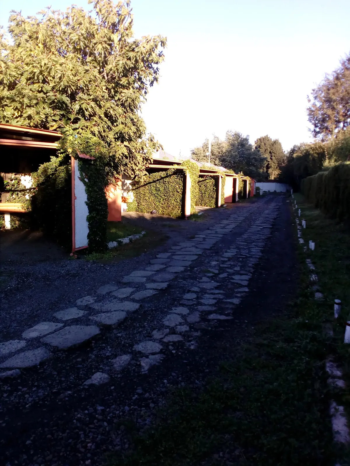 Motel Alfil