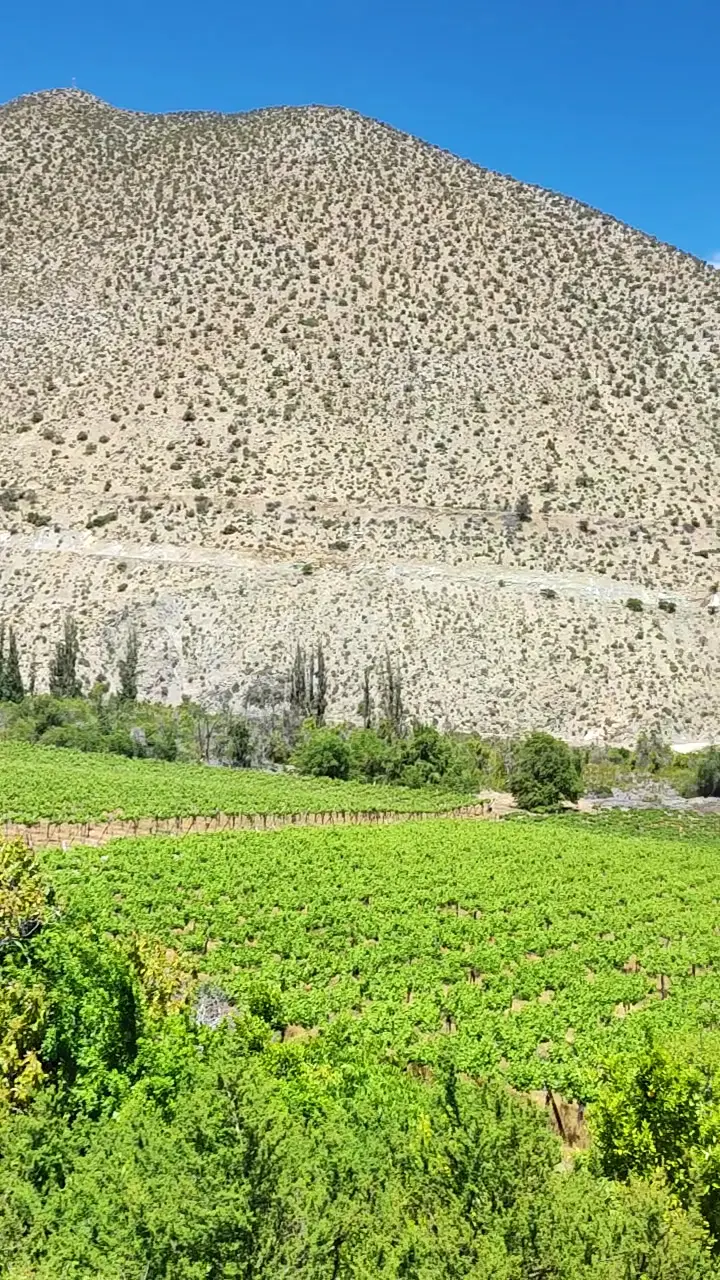 Socos del Valle — foto 2 de 3