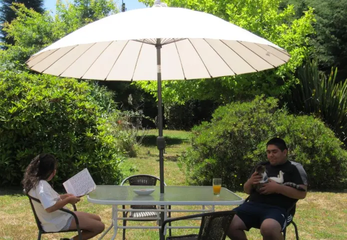 Ecohostal Huellas del Bosque Valdivia — foto 3 de 3