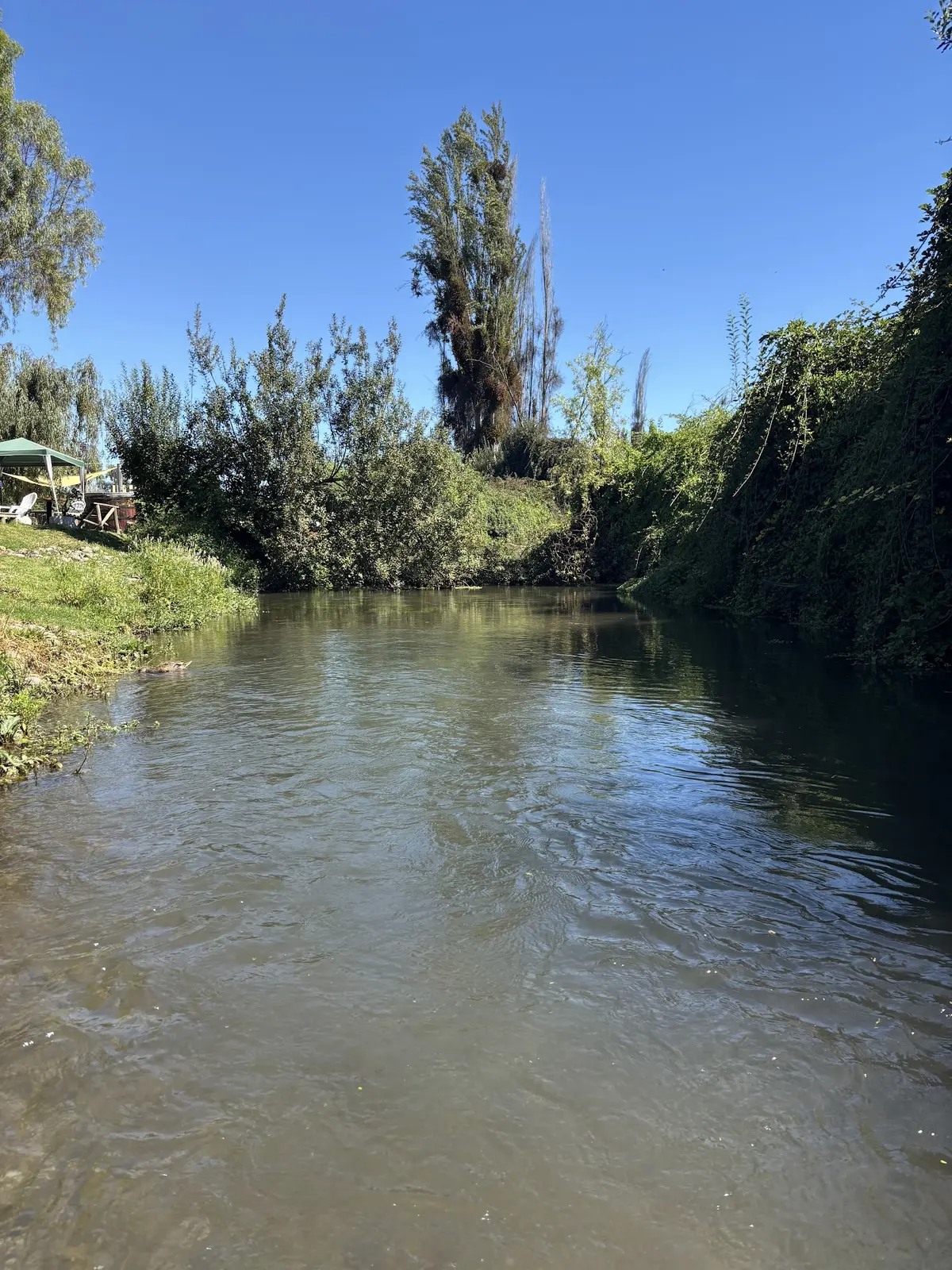 Spa Natura Mallinco — foto 4 de 6