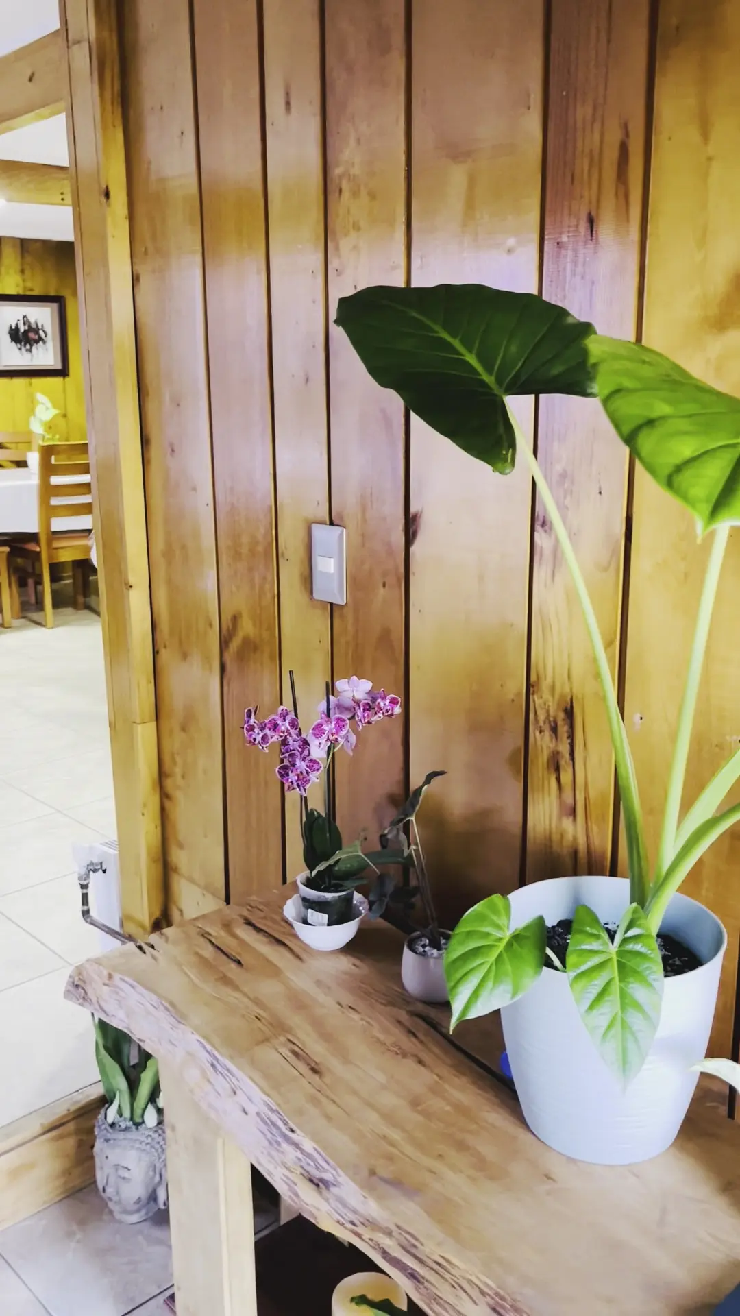 Hostal Maravillas del Sur — foto 2 de 3