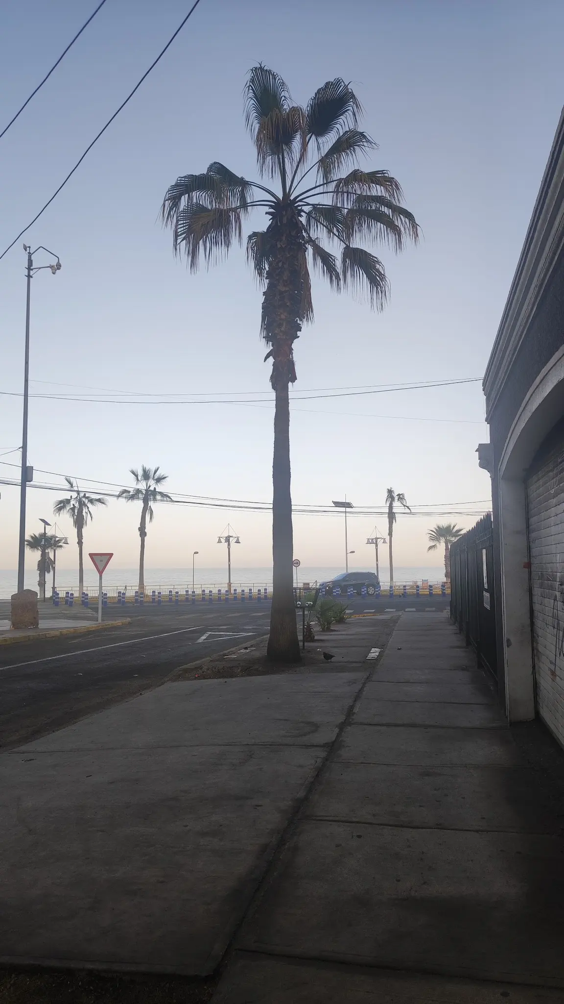 Iquique Beachfront hostal / hostel / hospedaje — foto 6 de 8