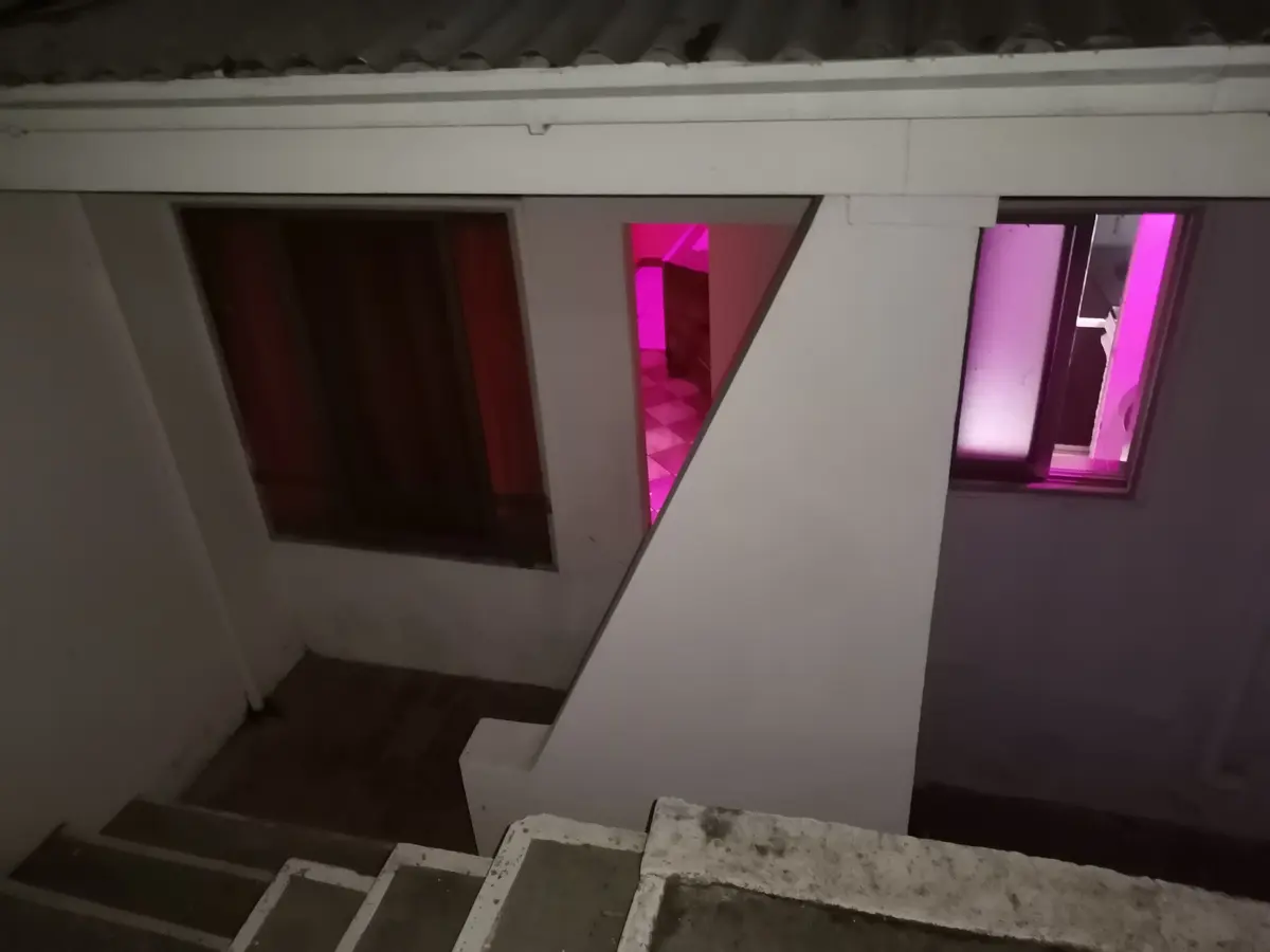 Motel Flamingo