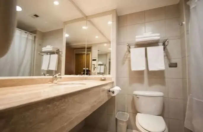 Hotel Diego de Almagro Rancagua — foto 5 de 5