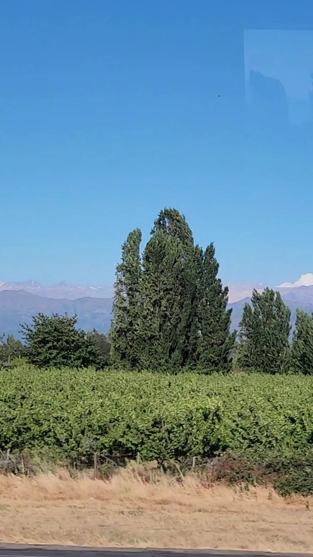 Rancagua — foto 2 de 3